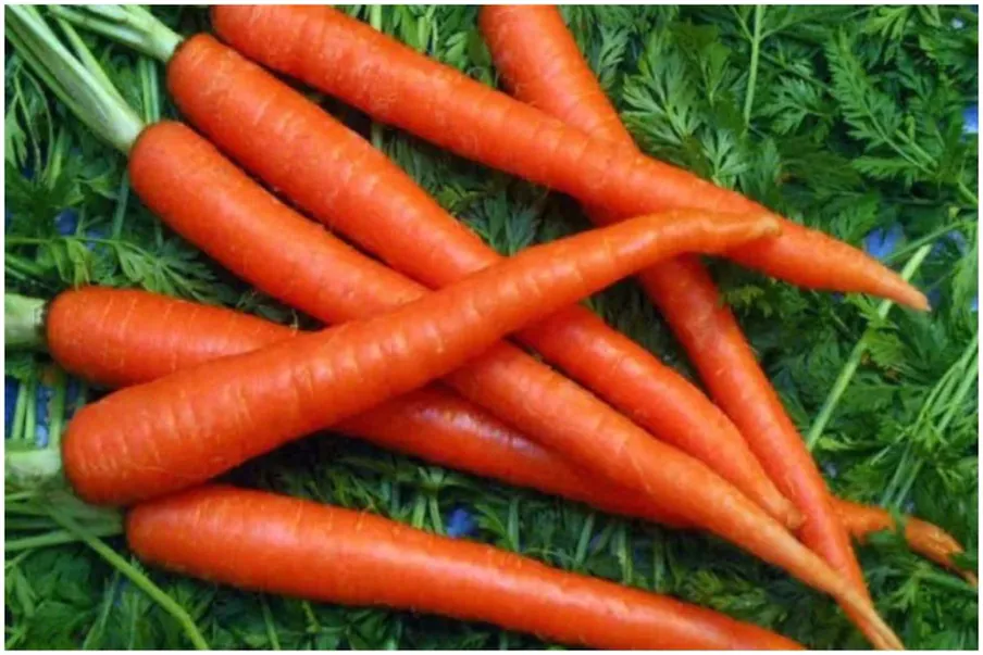 Why Carrots are an excellent food choice for men?