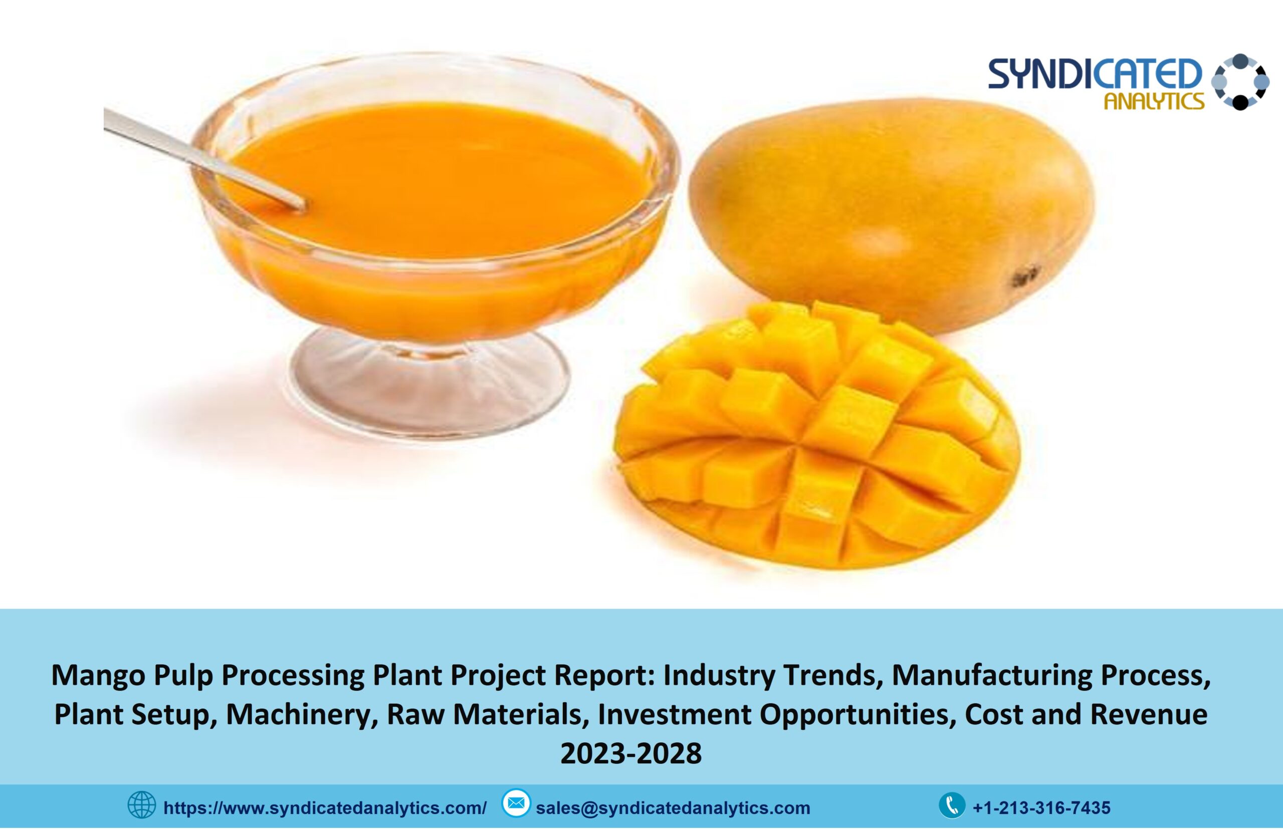 Mango Pulp Processing Plant