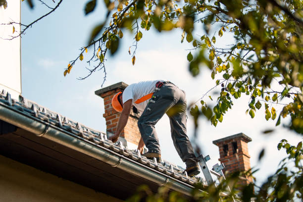 Common Roof Problems in Burke VA and How a Roofer Can Help